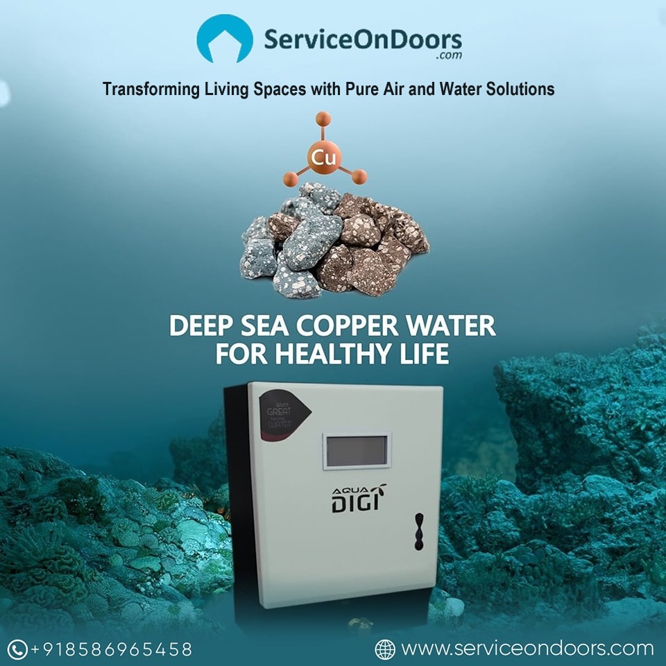 Premier RO Repair and AC Services Provider | 8586965458 | Serviceondoors